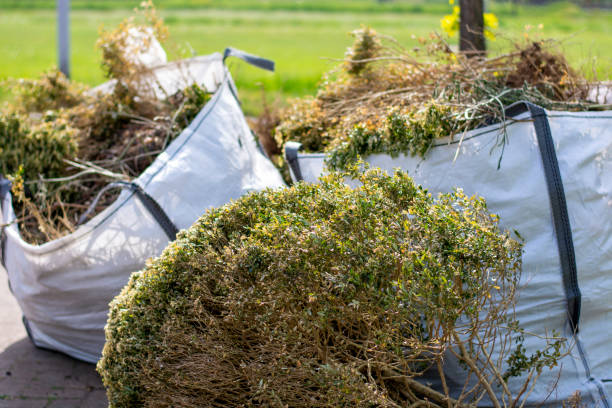 Best Affordable Junk Removal Services  in North Miami Beach, FL